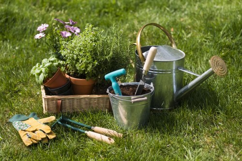 Eco-friendly lawn mowing practices with electric mower