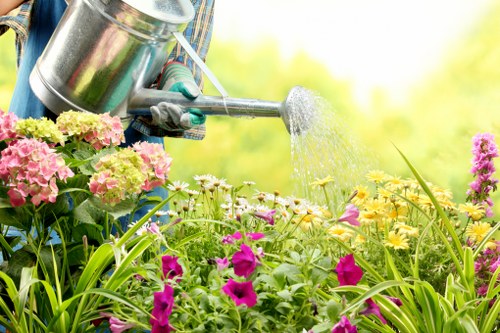 A gardener's hand, wearing a grey gardening glove, is watering a vibrant garden bed with a silver metal watering can. The garden features a variety of flowering plants, including pink, yellow, and purple blooms, alongside lush green foliage. The foreground contains densely packed flowers with different textures and colours, while the background shows bright, natural sunlight illuminating the outdoor space, suggesting a clear day. The garden is situated in a well-maintained outdoor area, possibly part of a residential property in Paddington, with a mild climate conducive to colourful plant growth. The scene highlights the careful maintenance involved in garden care, typical of professional gardening services in London, such as those provided by Gardening Services Paddington, which specialise in lawn care, plant watering, and garden upkeep, blending natural beauty with practical outdoor management.