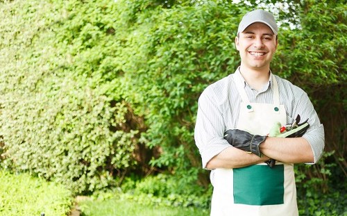 Professional gardener planning a landscape garden in a Paddington backyard